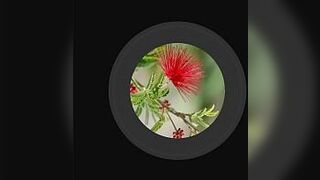 Кэм девушка Бавани - порно видео